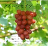 【早生】ぶどう食べ比べセット【贈答】