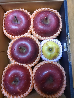 みんなの投稿の画像