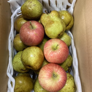 お得用　ラ•フランス　5キロバラ詰　約23-26個位入