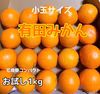 ［送料一律］有田みかん⭐︎ 小粒・小玉サイズ　［お試し1kg］
