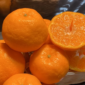 【愛媛のポンカン】♪美味いよ〜♪