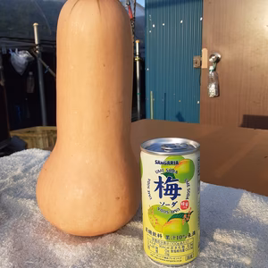 おまけ付き！！　バターナッツ　１点限り(レシピ付き)