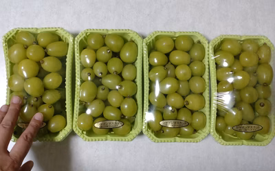 みんなの投稿の画像