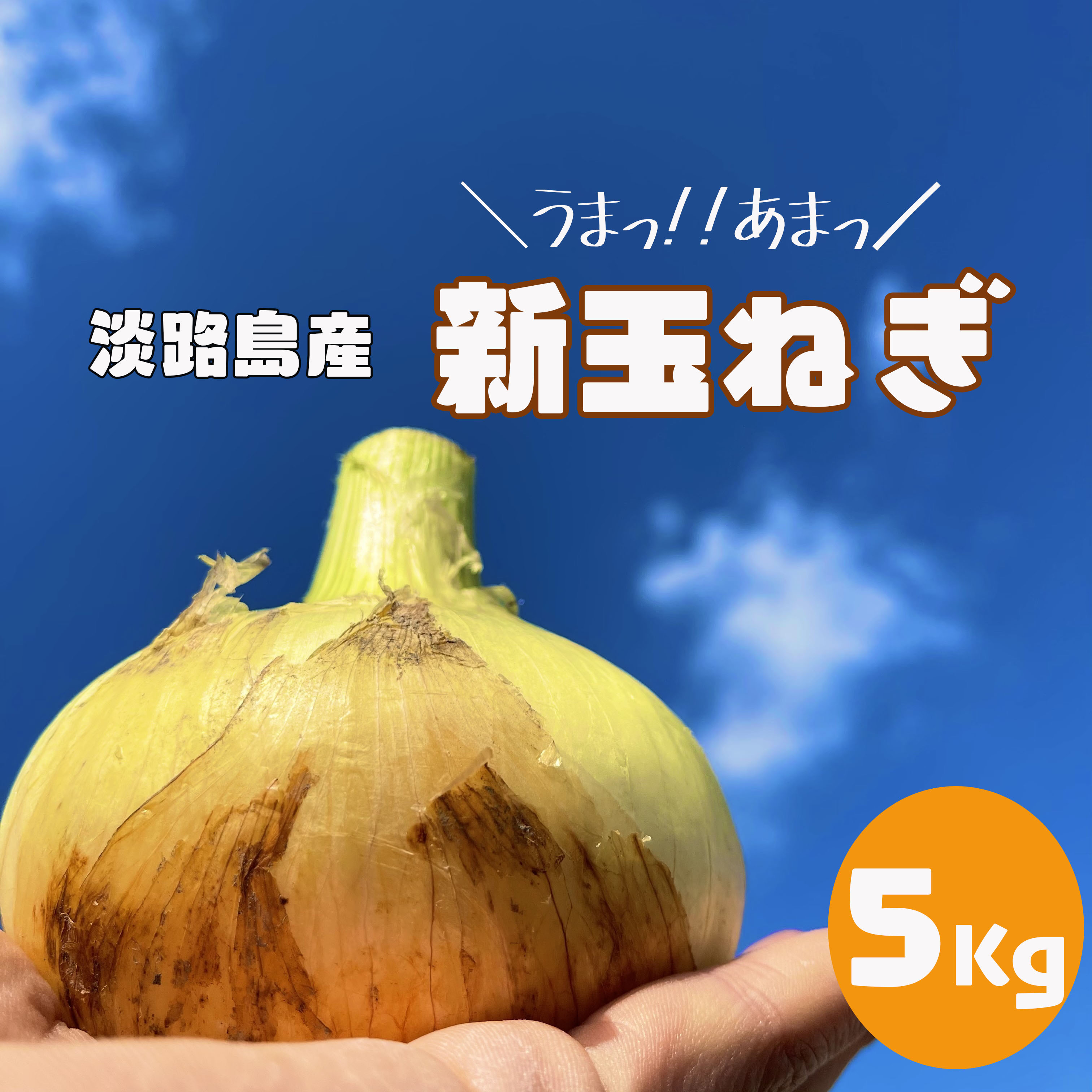 淡路島たまねぎ 淡路島産 新玉ねぎ 七宝早生 5キロ 農家漁師から産地直送の通販 ポケットマルシェ