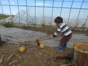 14702453_1099136240194155_2550429898792182853_n