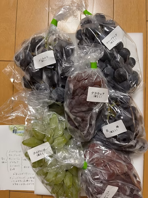 みんなの投稿の画像