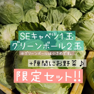 SEキャベツとグリーンボールの限定、食べ比べセット！