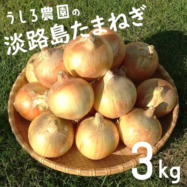 【6月予約】地元でも美味しいと好評！！淡路島の新たまねぎ！3kg
