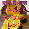 【大特価＆手作りジャム付】訳あり湘南ゴールド＆濃厚な味わいネーブルオレンジセット