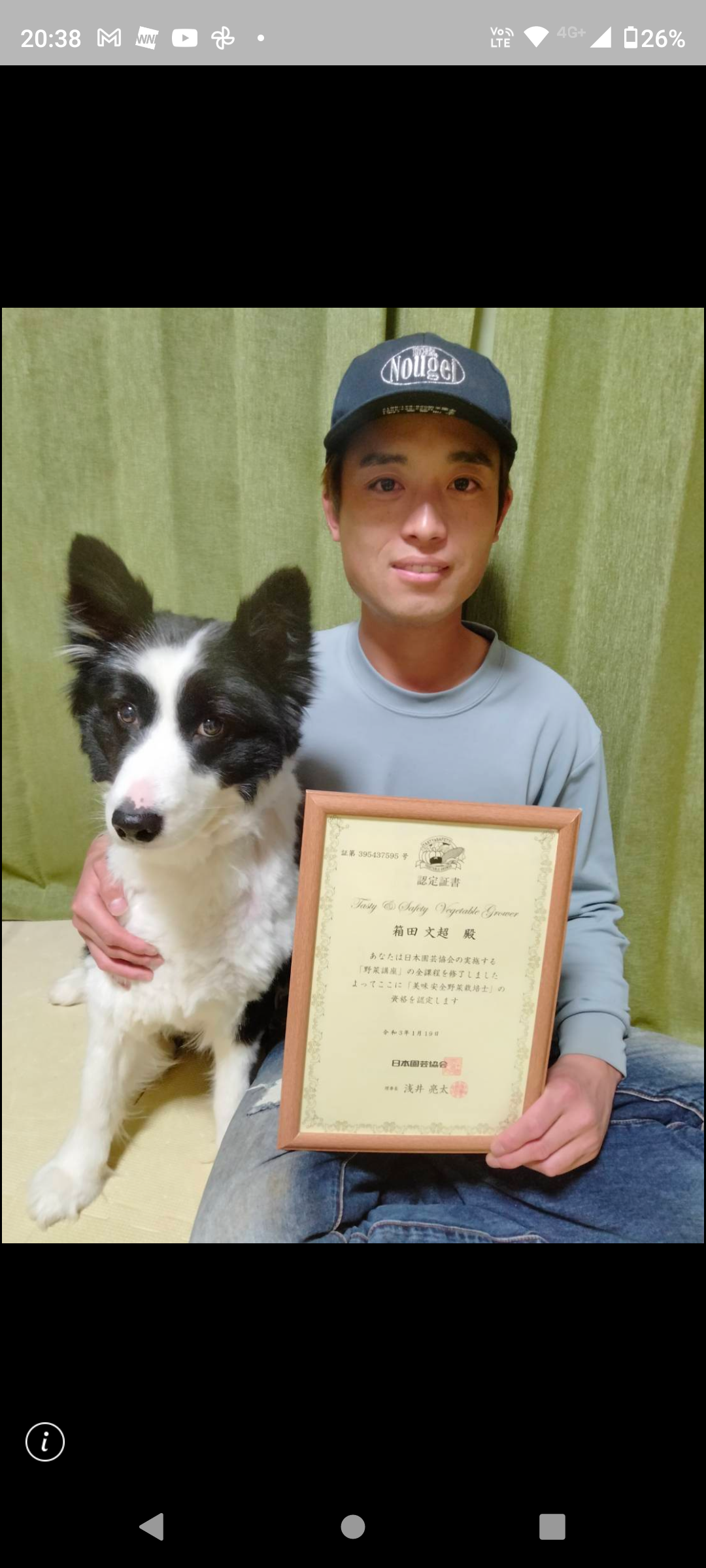 ねぎ　20キロ　茨城産 楽天市場】【ふるさと納税】【 令和6年産 】 茨城県産 にじの