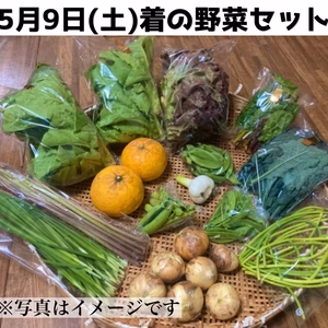 5月9日着　旬の野菜セット　80or100サイズ