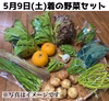 5月9日着　旬の野菜セット　80or100サイズ