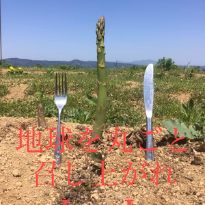 無農薬◎露地栽培  地球を丸ごと召し上がれアースパラガス‼︎