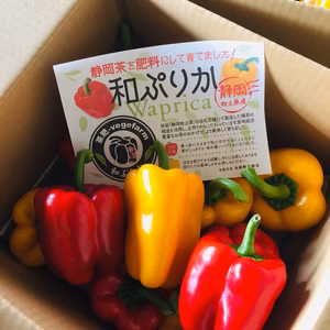 再キャンペーン価格！！丸かじり！！お茶肥料で濃い味！完熟「和ぷりか」追記読んでね