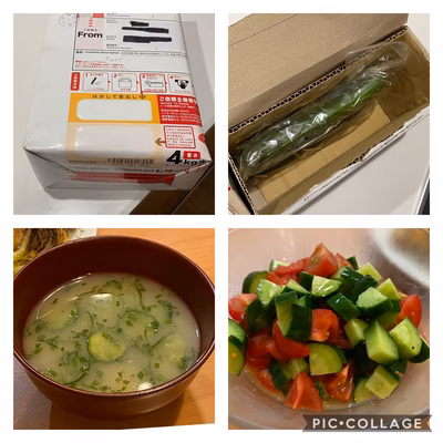 みんなの投稿の画像