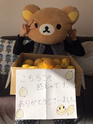 みんなの投稿の画像