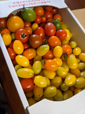 みんなの投稿の画像