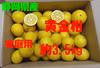 静岡県産　家庭用　黄金柑　約3.5㎏