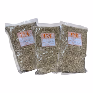 宮崎県産令和７年もち麦５００ｇ