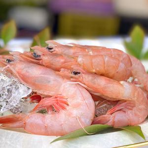 【夏ギフト】ジャイアントロえび！食べた瞬間、至福のひとときを感じるトロえび