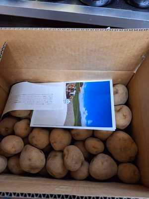 みんなの投稿の画像