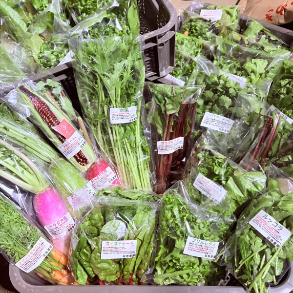 【旬の野菜詰め合わせ 80サイズ】農家直送 新鮮野菜