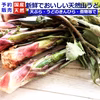 天然山菜4種以上詰合せB 800g以上 山形産《予約受付》