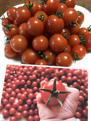 みんなの投稿の画像