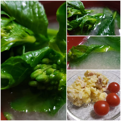 みんなの投稿の画像