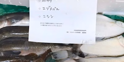 森さんのお魚セットがすごいらしい…みんなの投稿をまとめてみました！