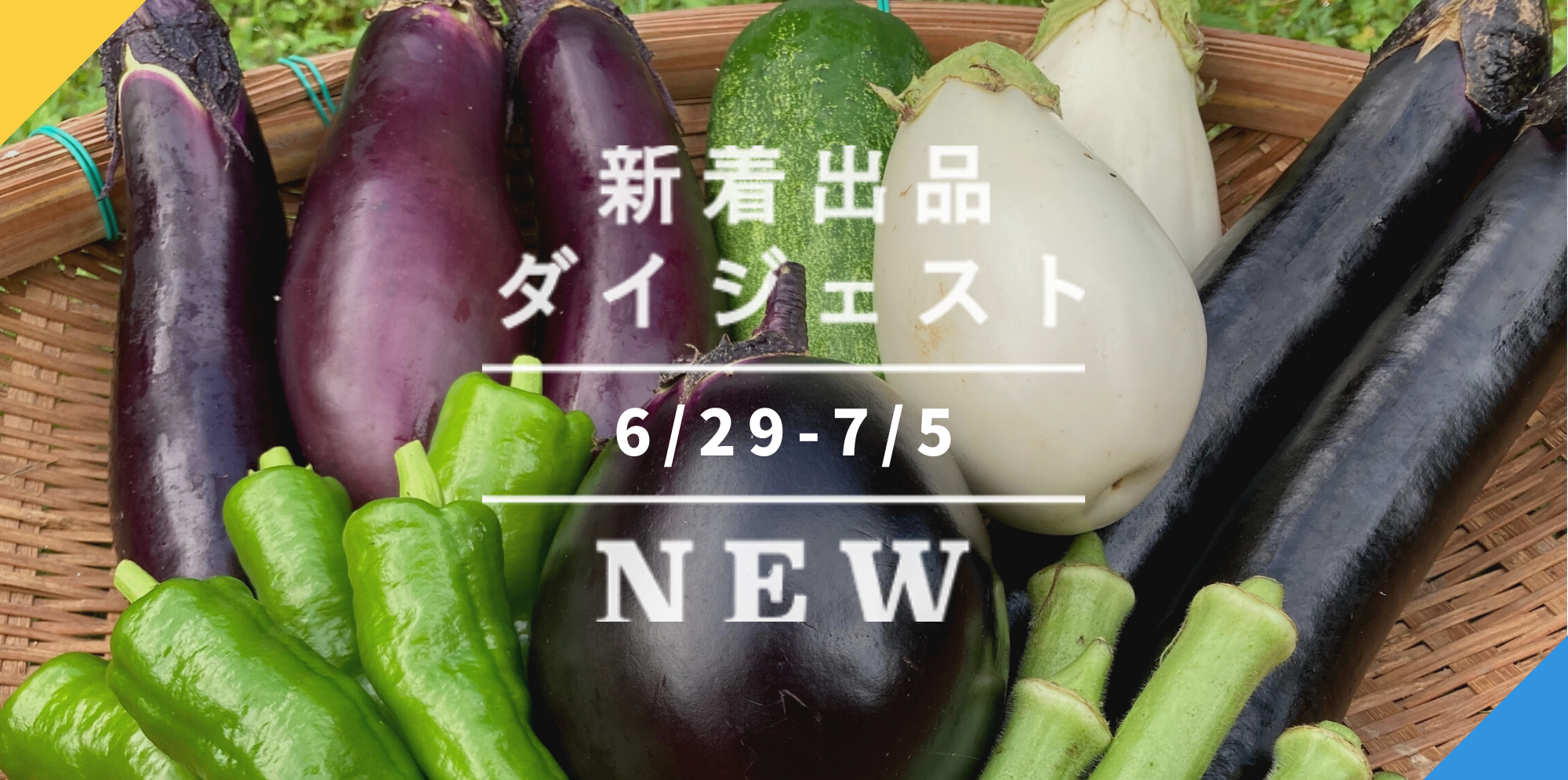 バックナンバー]もうすぐ夏休みの3選→フードロス特価の夏野菜セット