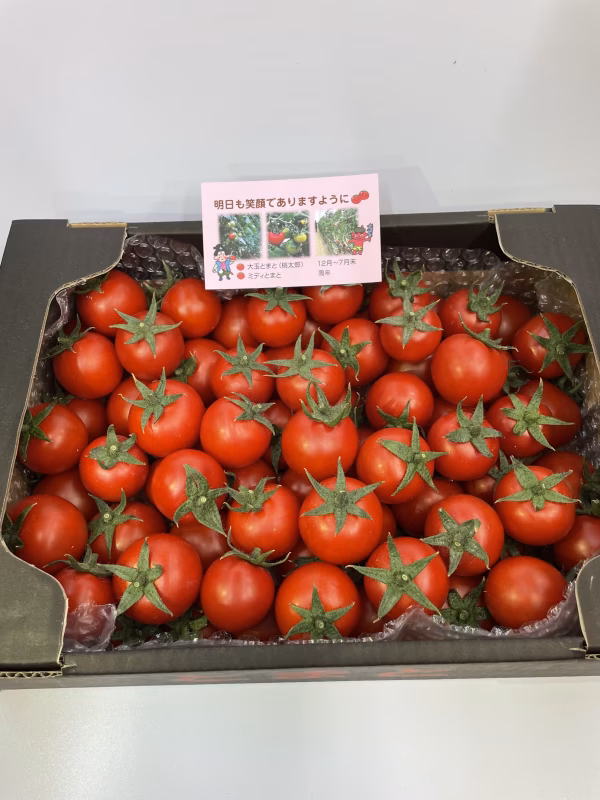 【期間限定❗️】一度食べてみて❣️フルーツミディトマト