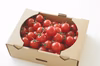 【定番人気商品】浅井農園の完熟チェリートマト1kg/3kg