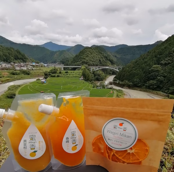 夏セール❢【送料無料】ドライフルーツ&【黄金柑＆春峰】マーマーレード