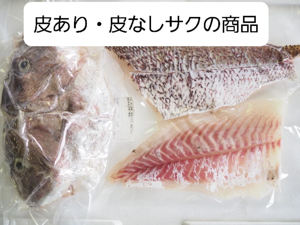 コロナ特売❕活〆日本本土最西端の海で大切に育てた特大真鯛