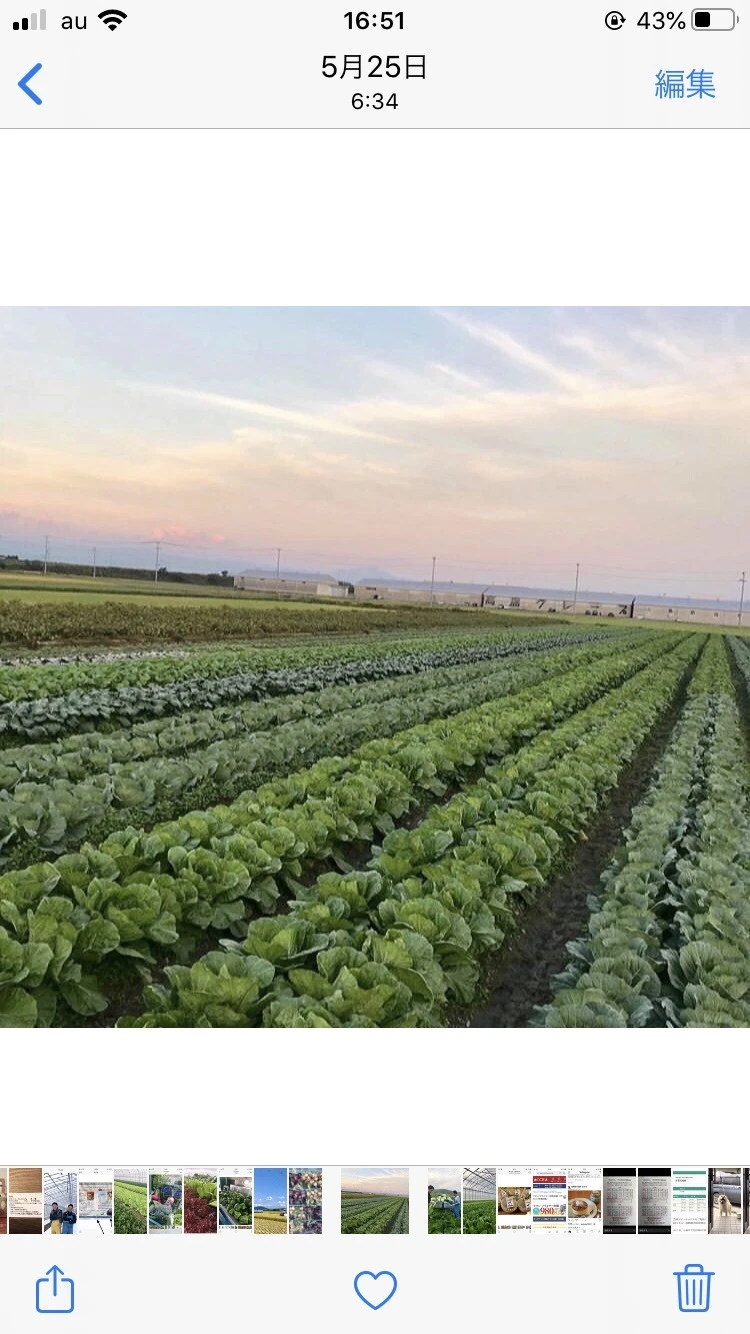 近江牛の堆肥で育てた採れたて野菜セット♪湖国からの旬便り