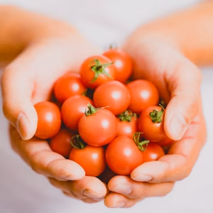 さくまあまこい 箱込2キロミニトマト