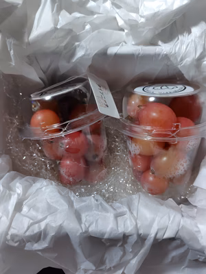 みんなの投稿の画像