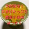 【予約2／20頃発送開始】予約限定おまけが沢山！お得ねこ農園の八朔【農薬不使用】