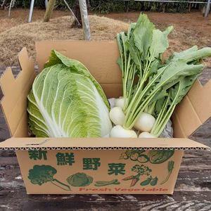 はくさい　かぶのセット