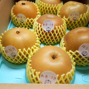 B-ASH3【自家用中玉】 秋月・新美月・豊水 3キロ(6玉)