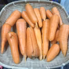 [なゆた農場]人参B品詰め合わせ※農薬・化学肥料・除草剤・動物性肥料不使用