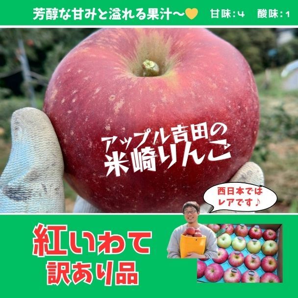 [訳あり品]芳醇な甘味 紅いわて[岩手陸前高田] 5kg(14〜20個入り)