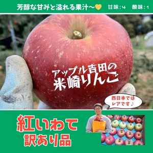 【訳あり品】芳醇な甘味　紅いわて【岩手陸前高田】