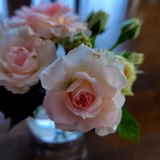 ママちゃんかも。