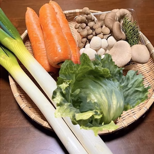 【にんじん増量中！！】綾町の豪華野菜セット！