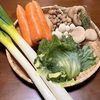 【にんじん増量中！！】綾町の豪華野菜セット！
