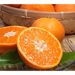 南津海 ご家庭用 5kg