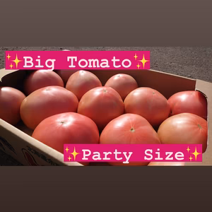 【無くなり次第終了！】ビッグ！トマト！3Lサイズ 
