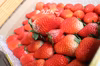 規格外　苺　1.8キロ〜2.0    【保存方法：冷凍】